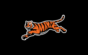 Also you can share or upload your favorite wallpapers. Bengals Wallpaper 1920x1200 Wallpaper Teahub Io