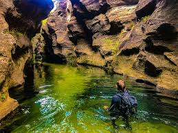 By choosing 'accept cookies' you allow canyon to collect device and browser information. Wollangambe Canyon High And Wild
