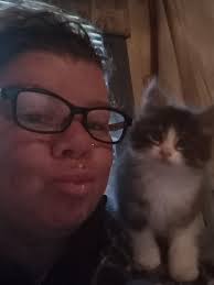 Animal House Pet Rescue/ Pet Sitting