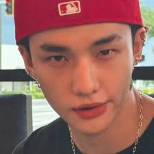 Hyunjinxd4vdalwayslove🌿🍀🥝🐺🐷🦊🐰🐶🍓🐿💦