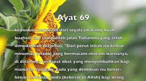 Abdul basit abdulsamad abdullah awwaad al juhaynee abdur rahmaan assudais ahmed ibn ali alajamy. Surah An Nahl 16 Ayat 68 69 Youtube