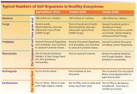 get to know soil the woodlands township environmental services