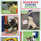 Discover Canine Sports Workshop