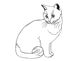 Savesave gambar kucing for later. Gambar Kucing Untuk Mewarnai
