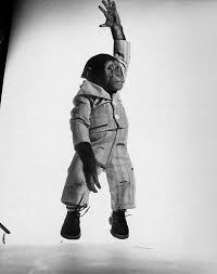 10 Photos Of Celebrities Jumping For History S Most Persuasive Photographer Philippe Halsman Cute Baby Animals Monkey
