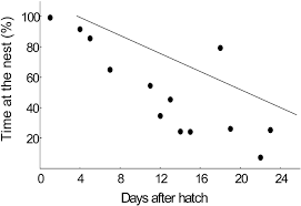 Breeding patterns and habitat use in the endemic Curl-crested Jay of  central Brazil