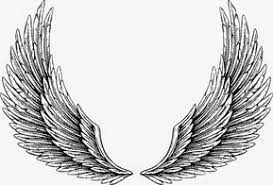 Wing Vector Wings Line Wings Png Transparent Clipart Image And Psd File For Free Download Wings Tattoo Wing Tattoo Wing Tattoo Designs