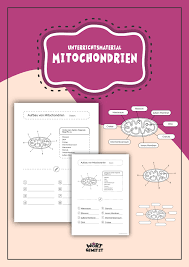 Unterrichtsmaterial Aufbau Mitochondrien Unterrichtsmaterial Im Fach Biologie In 2020 Unterrichtsmaterial Aufbau Biologie