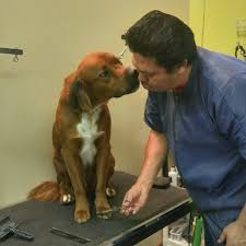 Woof gang bakery & grooming san antonio. Blissful Bark Dog Wash Home Facebook