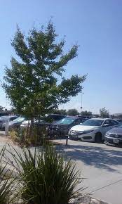 Similar places in moreno valley. Riverside University Health System Medical Center 26520 Cactus Ave Moreno Valley Ca 92555 Usa