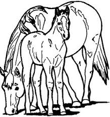 Many styles and levels of difficulty are available. Cute Baby Horse Coloring Pages Horse Coloring Pages Coloring Pages For Kids And Adults