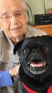 Virginia Kamb Obituary (2017)