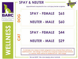 It can cost more than a $100 to get a cat spayed or neutered. Spay Neuter Prices Barc Animal Shelter And Adoptions