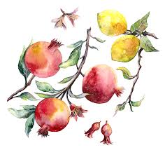 Fruits Lemon Watercolor Botanical Watercolor Art Tutorials Watercolor