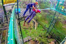 Tree Top Adventure Baguio S Tree Drop Top Adventures Tree Tops Adventure