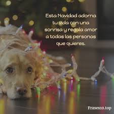 Porque te considero mi mejor amigo, deseo que la navidad venga acompañada de infinita felicidad, paz y armonía para ti y familia. Frases De Navidad Para Amigos Y Familia Muy Bonitas