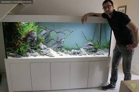 Simon S Aquascape Blog Photo Aquarium Aquarium Fish Tank Fish Tank