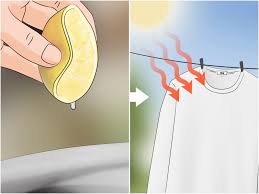 With an ejis sweat proof undershirt, you won't have to worry about how to get armpit stains out of shirts again. 3 Ways To Avoid Sweat Stains Wikihow