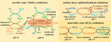 We did not find results for: A Review Of The Formation Of Cr Vi Via Cr Iii Oxidation In Soils And Groundwater Sciencedirect