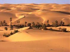 Things to do near arabian desert tours & safaris. 10 The Arabian Peninsula Ideas Arabian Peninsula Arabians Peninsula