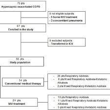 Flow Chart Of The Consecutive Copd Patients With Acute