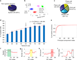 Stream in hd download in hd. A Hierarchical Anti Hebbian Network Model For The Formation Of Spatial Cells In Three Dimensional Space Nature Communications