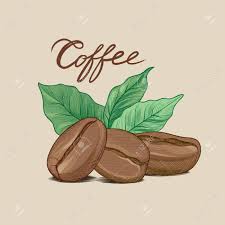One of the best things about the pneu's approach to art instruction is that the assignments are free enough that students of various ages can all work to their ability. Coffee Beans With Leaves And Handwritten Lettering Dring Coffee Banner Hand Drawn Colored Sketch Line Art Label Coffee Card Retro Background Royalty Free Cliparts Vectors And Stock Illustration Image 101041091