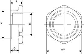 Npt Threaded Reducer Cable Gland Reducers India