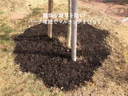 乾燥や雑草を防ぐ！】バーク堆肥でマルチングを行おう | 切るを楽しむ | アルスコーポレーション株式会社 さん