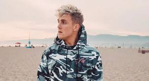Youtuber Jake Paul Fired From Disney Show After Bad Behavior Jake Paul Jake Paul Team 10 Jake And Erika