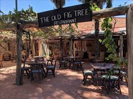 Pin On Out And About Locally