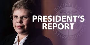 President's Report