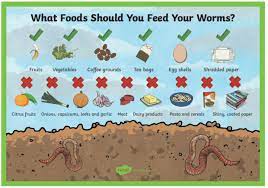 What Is Worm Farming? How To Start A Worm Farm For Kids
