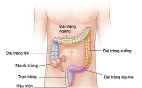 Maybe you would like to learn more about one of these? Giáº£i Ma Sá»± Di CÄƒn Nguy Hiá»ƒm Cá»§a Ung ThÆ° Trá»±c Trang