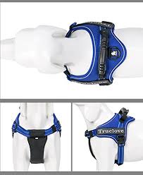 Truelove Dog Harness No Pull Reflective Stitching Ensure Night Visibility Outdoor Adventure Big Dog Harness Perfect Match Puppy Vest Tlh5753 Now