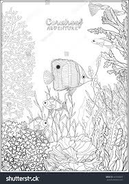 Pin On Fish
