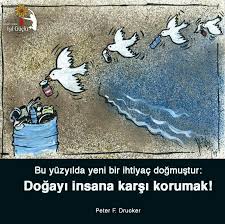 Turkan Hizli Adli Kullanicinin Oku Panosundaki Pin Karikatur Gercekler Okuma