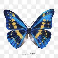 Borboleta Realista Borboleta Clipart Asas Pluma Imagem Png E Psd Para Download Gratuito In 2021 Butterfly Watercolor Butterfly Background Butterfly Illustration