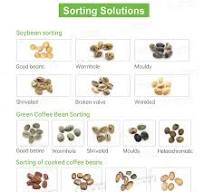 6SXZ-68 - Seven channel coffee bean color sorter | Wesort