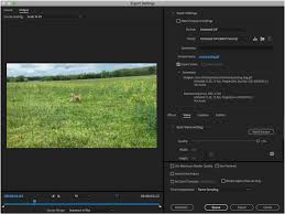 All fonts are part of adobe fonts library. How To Make A Video Into A Gif Make It With Adobe Creative Cloud