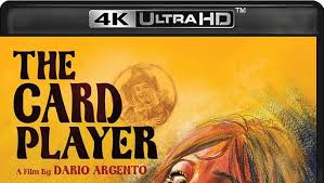 Amazon.com: The Card Player [4K Ultra HD + Blu-ray Set] : Dario Argento,  Stefania Rocca, Liam Cunningham, Silvio Muccino, Adalberto Maria Merli:  Movies & TV