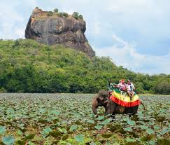 Tourists Ride An Elephant On The Lake On In Sigiriya Elephant Back Riding Is A Popular Tourist Attraction In Sr Travel Tours Tourist Attraction Tour Packages