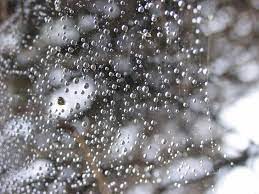 صور عن الشتاء والمطر جميلة جدا ومعبرة موقع حصري winter images image winter