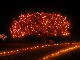 Dominion Garden Of Lights At The Norfolk Botanical Garden Garden Of Lights Norfolk Holiday Holiday Lights