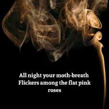 Morning Song By Sylvia Plath Morningsong Sylviaplath Smoke Moth Breath Child Flat Pink Roses Flowers Ripple Casc Morning Songs Popular Poems Poems