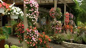 Maybe you would like to learn more about one of these? How To Hang Plant Pouches P Allen Smith Classics Youtube