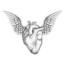 Disegno A Mano Elegante Cuore Con Le Ali Illustrazione Arte Vettoriale Disegno Delle Ali Arte Anatomica Disegni A Mano
