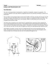 Pin On Human Body Systems