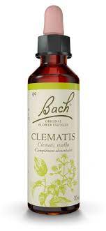 Maybe you would like to learn more about one of these? Bachbluten Original Clematis 20 Ml