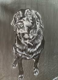 Maybe you would like to learn more about one of these? Commission Pet Portrait On Slate Cameron Wishart